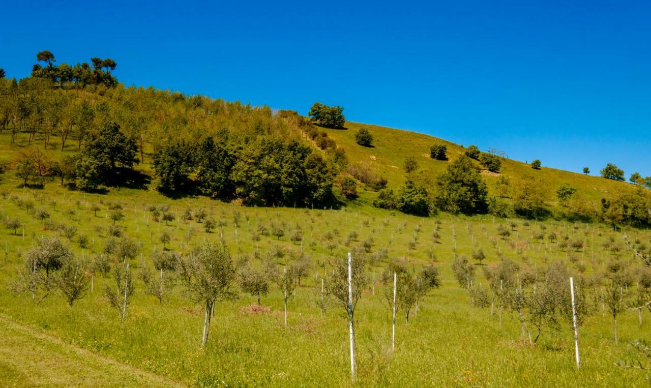 La Quercia - Bolognarooms Sasso Marconi Exteriér fotografie
